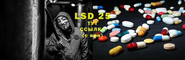 ПСИЛОЦИБИНОВЫЕ ГРИБЫ Новокубанск
