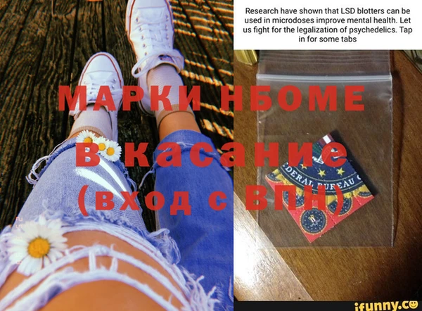 не бодяженный Новозыбков