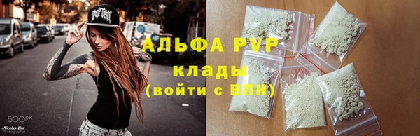 ПСИЛОЦИБИНОВЫЕ ГРИБЫ Новокубанск