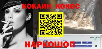 шишки Камышлов