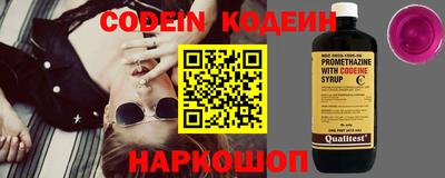 шишки Камышлов