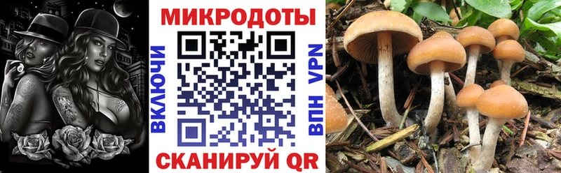 маркетплейс формула  Курчатов  Псилоцибиновые грибы Magic Shrooms 