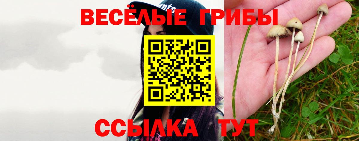 как найти закладки  Вход с VPN  Курчатов  Галлюциногенные грибы мухоморы 
